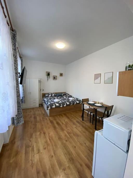 Cozy 1 Bedroom Studio In The Center Of Pilsen Eksteriør bilde