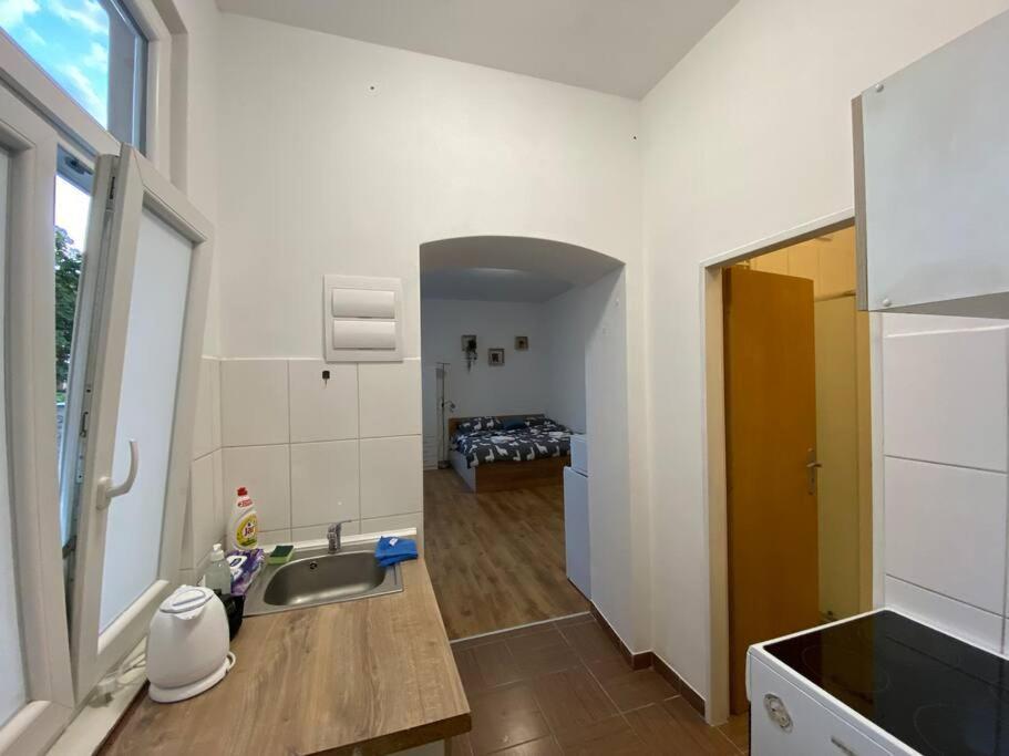 Cozy 1 Bedroom Studio In The Center Of Pilsen Eksteriør bilde