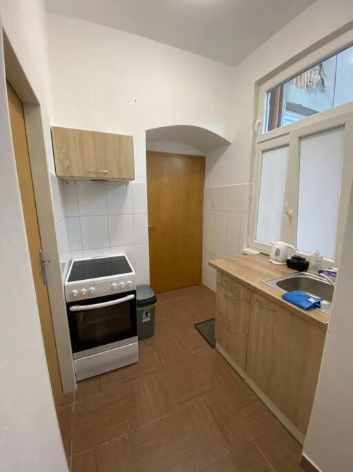 Cozy 1 Bedroom Studio In The Center Of Pilsen Eksteriør bilde